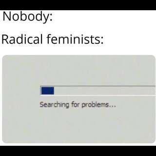 Computer progress bar. Caption: Nobody: (empty), Radical Feminists: Searching for problems...