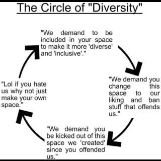 Chart. Caption: The Circle of 'Diversity'