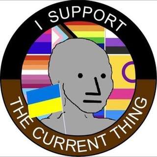 NPC meme with various LGBT flags in the background while holding a Ukraine flag. Caption: I support the current thing.