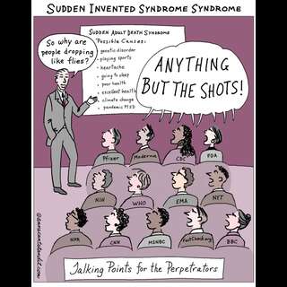 A one comic panel. Main Caption: Sudden Invented Syndrome Syndrome, Anything but the shots!