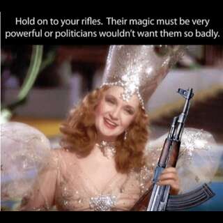 The fairy from the Wizard of Oz, holding a photoshopped rifle. Caption: Hold on to your rifles. Their magic must be very powerful or politicians wouldn't want them so badly.